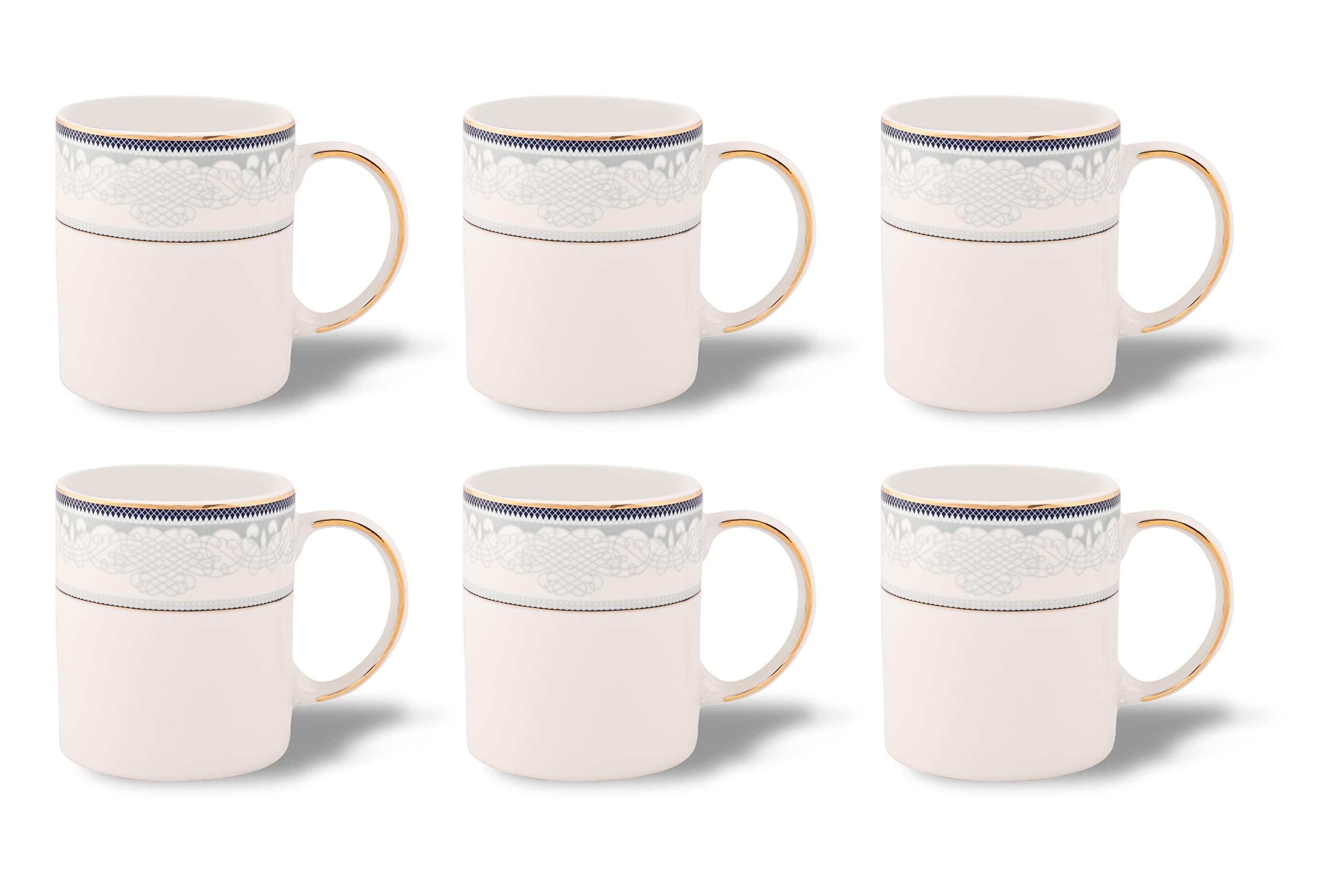 Hitkari Bio Matt Coffee mug Set of 6 Pcs