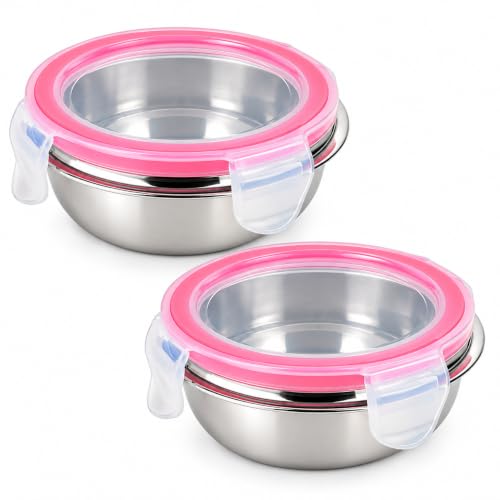 Dynore Click Lock Air Tight Tiffin Set of 2 DS_1490