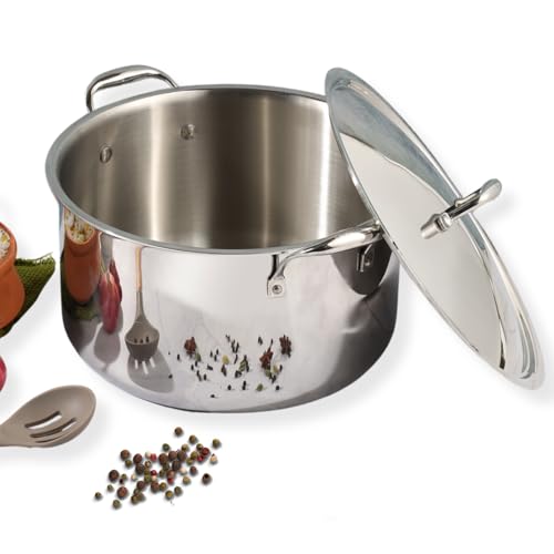 VC814 VINOD PLATINUM BIRYANI POT 30CM PBP