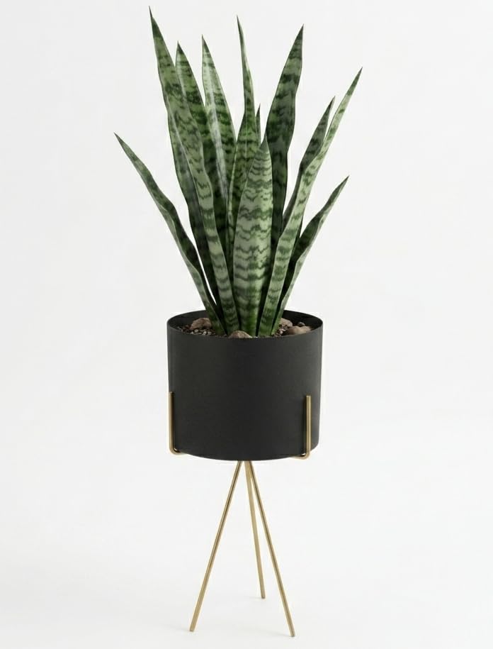 Orobe Antique Metal Interior Planter CGTPL100245_OB